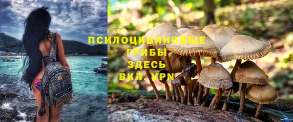 шишки Алексеевка