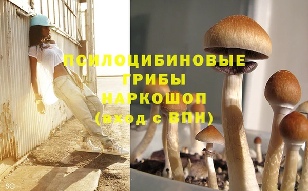 амф Алзамай