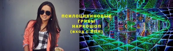 шишки Алексеевка