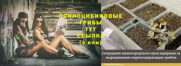 индика Алексин